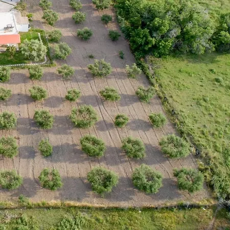 Hébergement de vacances Elia Small Paradise Kos