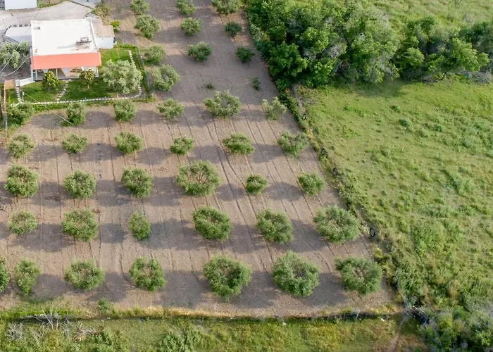 בית נופש Elia Small Paradise העיירה קוס