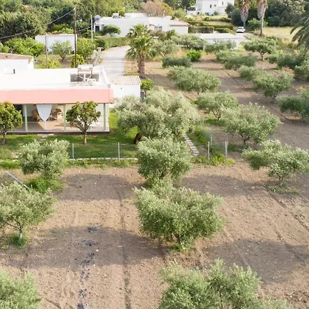 Elia Small Paradise *