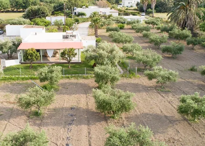 Elia Small Paradise *